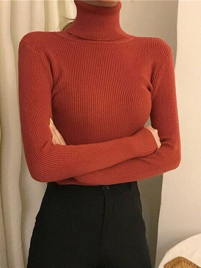 Berthe - Kaschmir-Rollkragenpullover